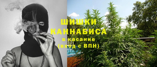 прущий лед Арсеньев