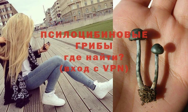 прущий лед Арсеньев