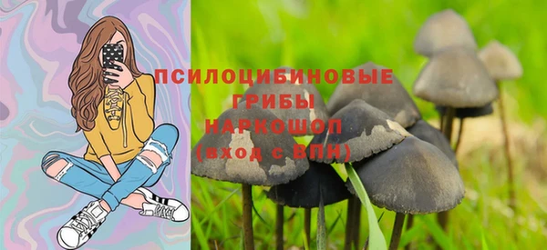 прущий лед Арсеньев
